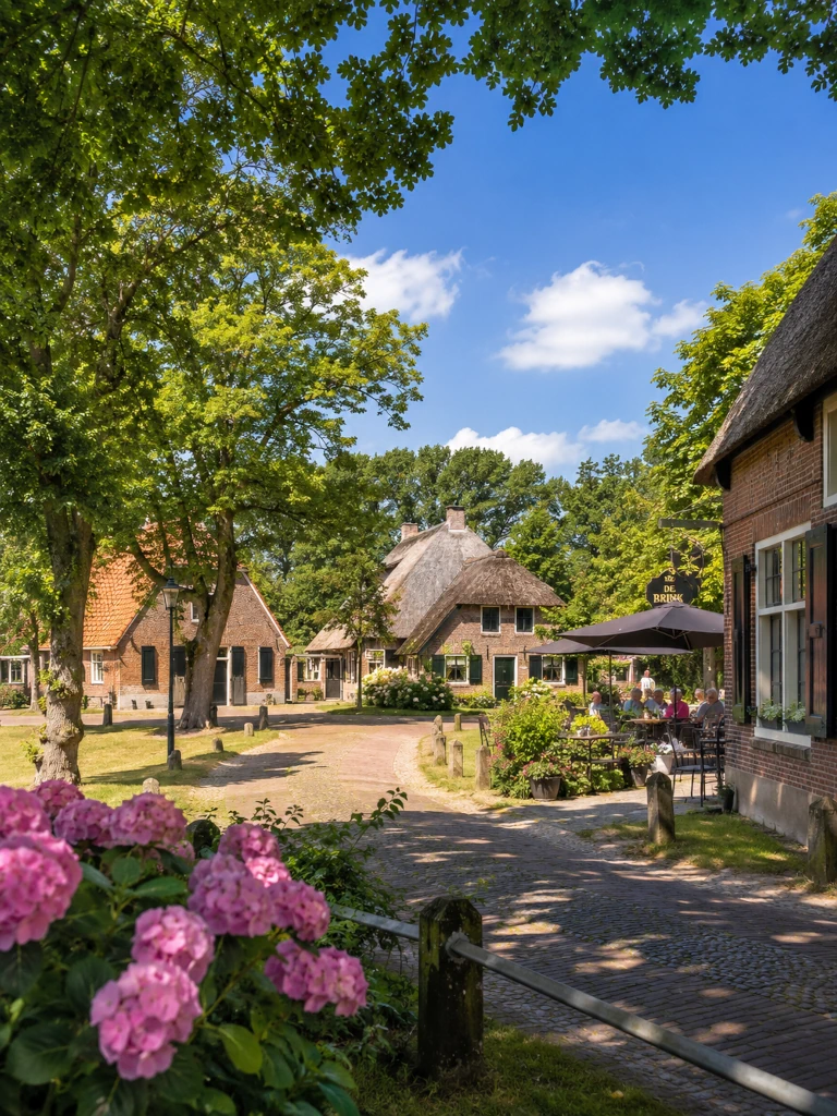 Brink met boerderijen in een Drents dorp